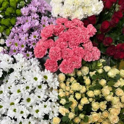 Какие цветы лучше подарить