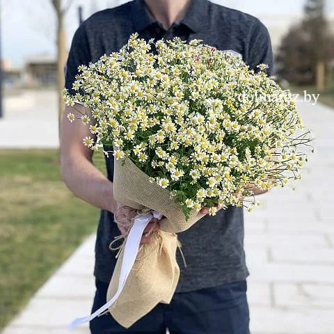 Букет ромашек «Чистый луг»