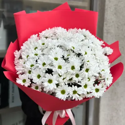 Букет «Облако» (13 шт) — фото 1